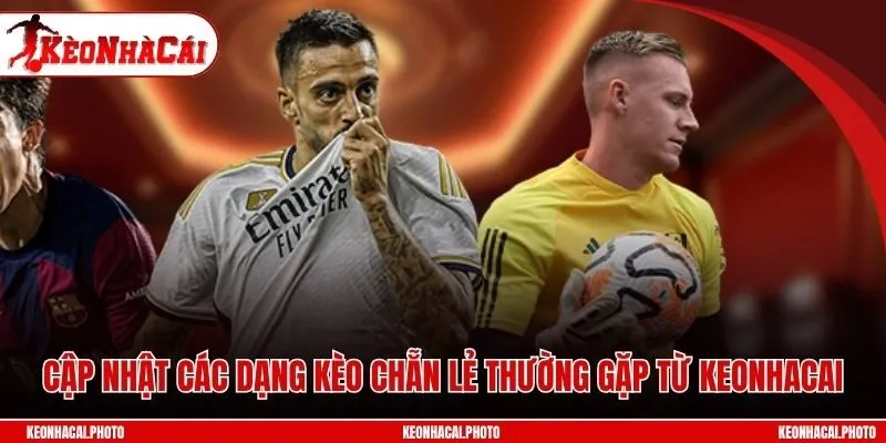 Cập nhật các dạng kèo chẵn lẻ thường gặp từ Keonhacai