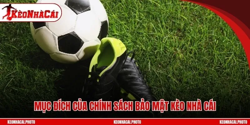 Mục đích của chính sách bảo mật kèo nhà cái