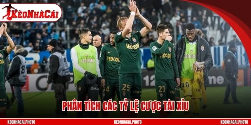 Phân tích các tỷ lệ cược Tài Xỉu